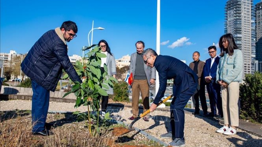 Tree planting marks 30 years of Vietnam – Israel diplomacy